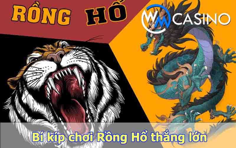 Tham khảo 10 bí kíp chơi Rồng Hổ thắng lớn của chuyên gia