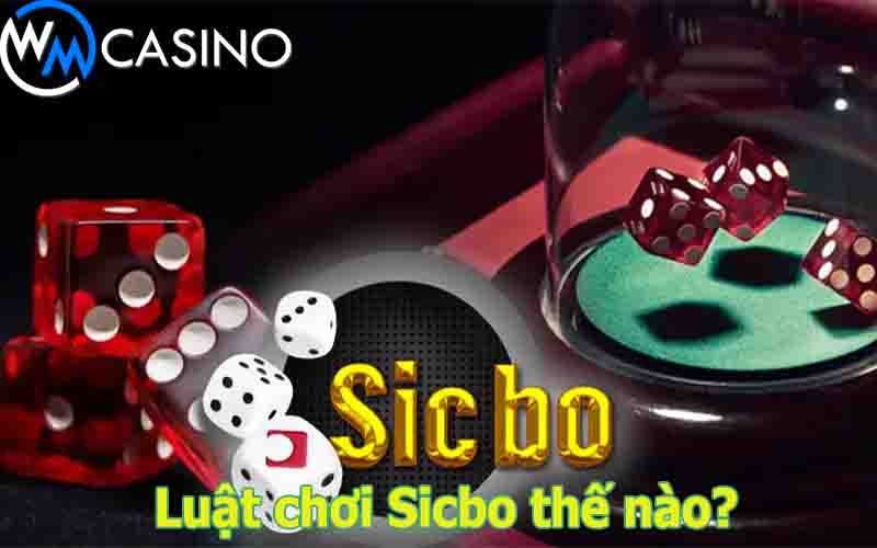 Quy tắc cơ bản khi chơi tài xỉu Sicbo